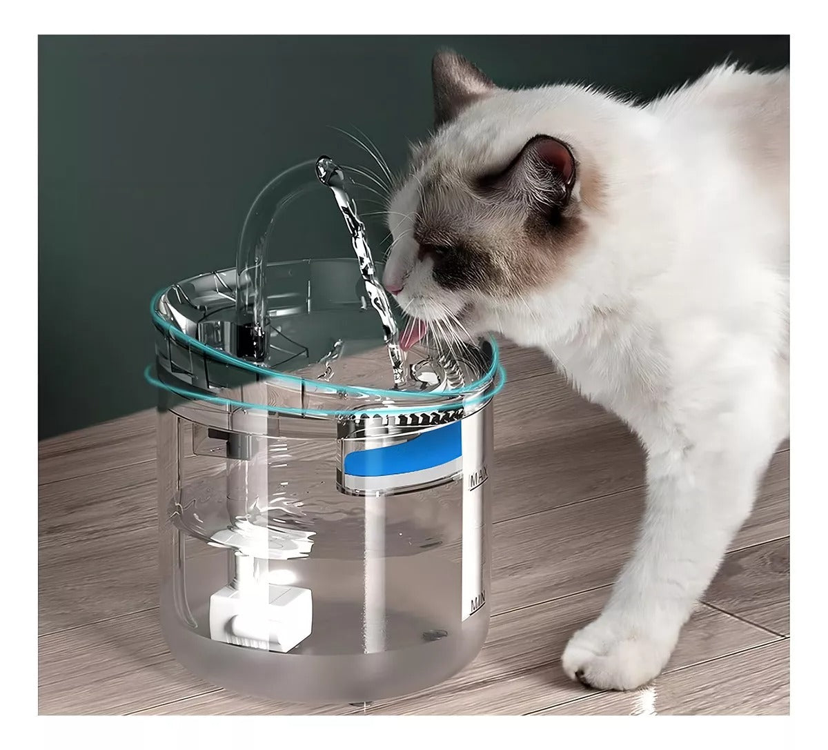 Fuente de Agua Automática para Mascotas - gato bebiendo del chorro circulante