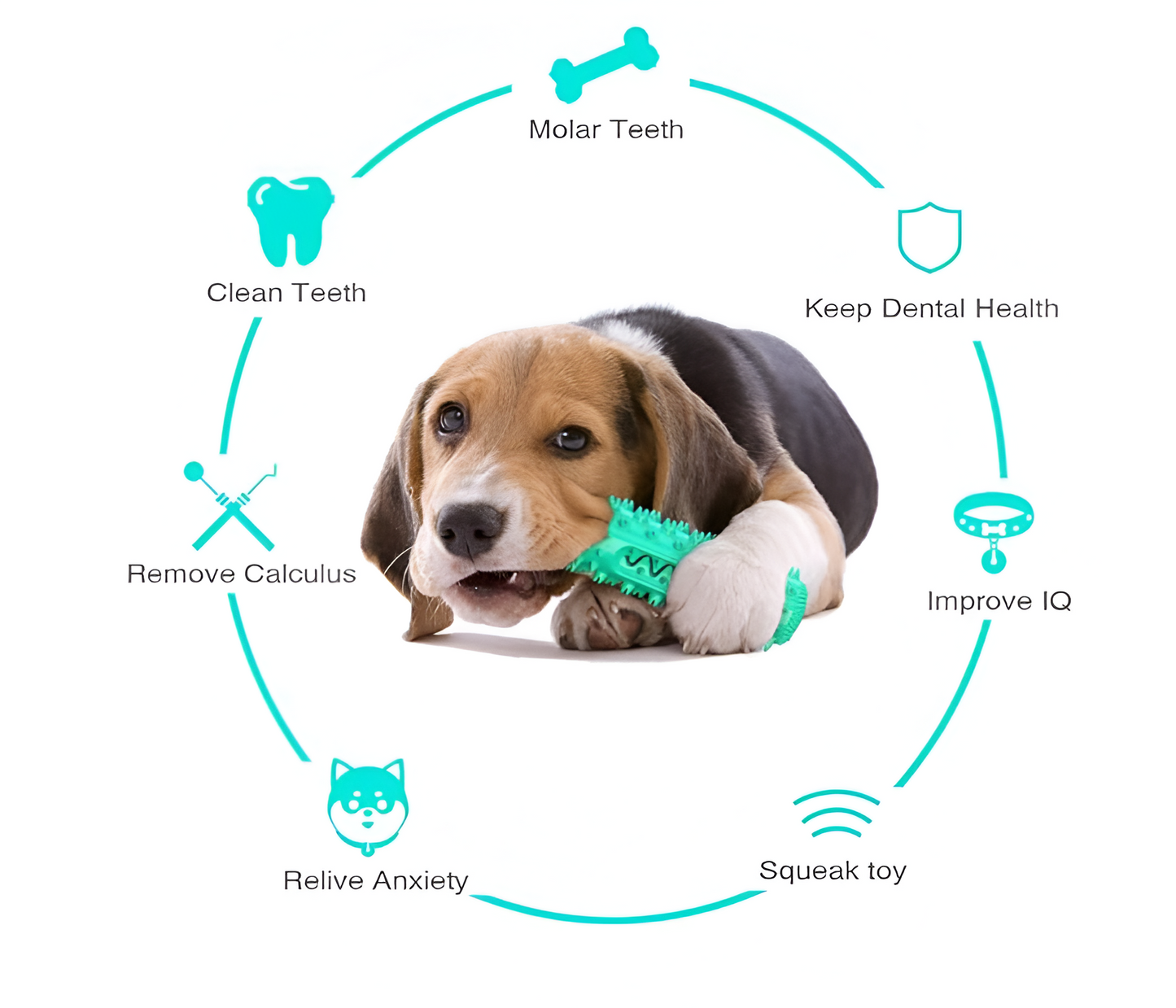 Juguete para perro con lavado de dientes